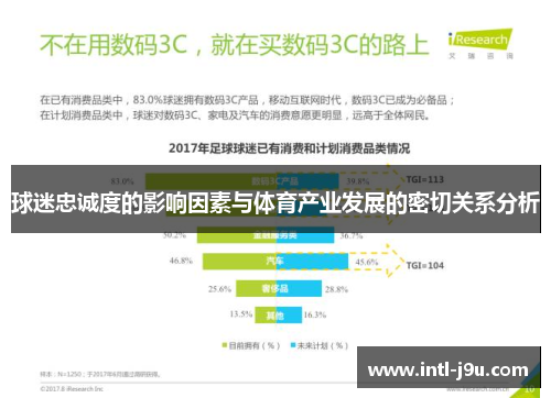 球迷忠诚度的影响因素与体育产业发展的密切关系分析
