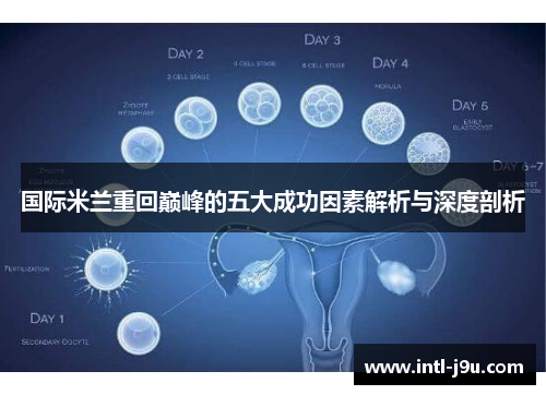 国际米兰重回巅峰的五大成功因素解析与深度剖析