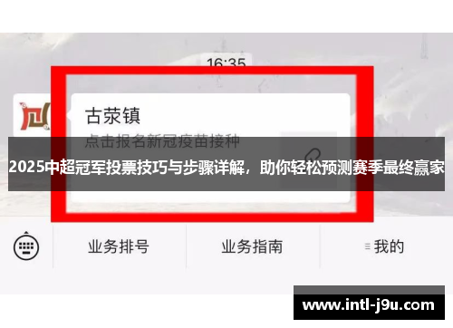 2025中超冠军投票技巧与步骤详解，助你轻松预测赛季最终赢家