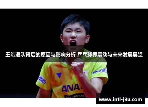 王皓退队背后的原因与影响分析 乒乓球界震动与未来发展展望