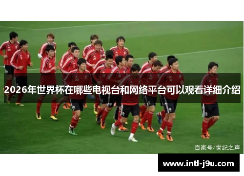 2026年世界杯在哪些电视台和网络平台可以观看详细介绍